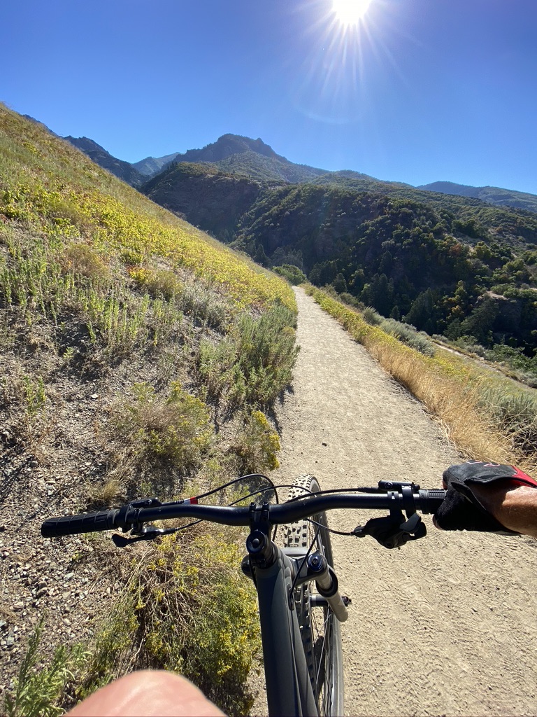 Shoreline 2024 bike trail